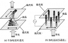 TNҺ����ʾ�������볣��2