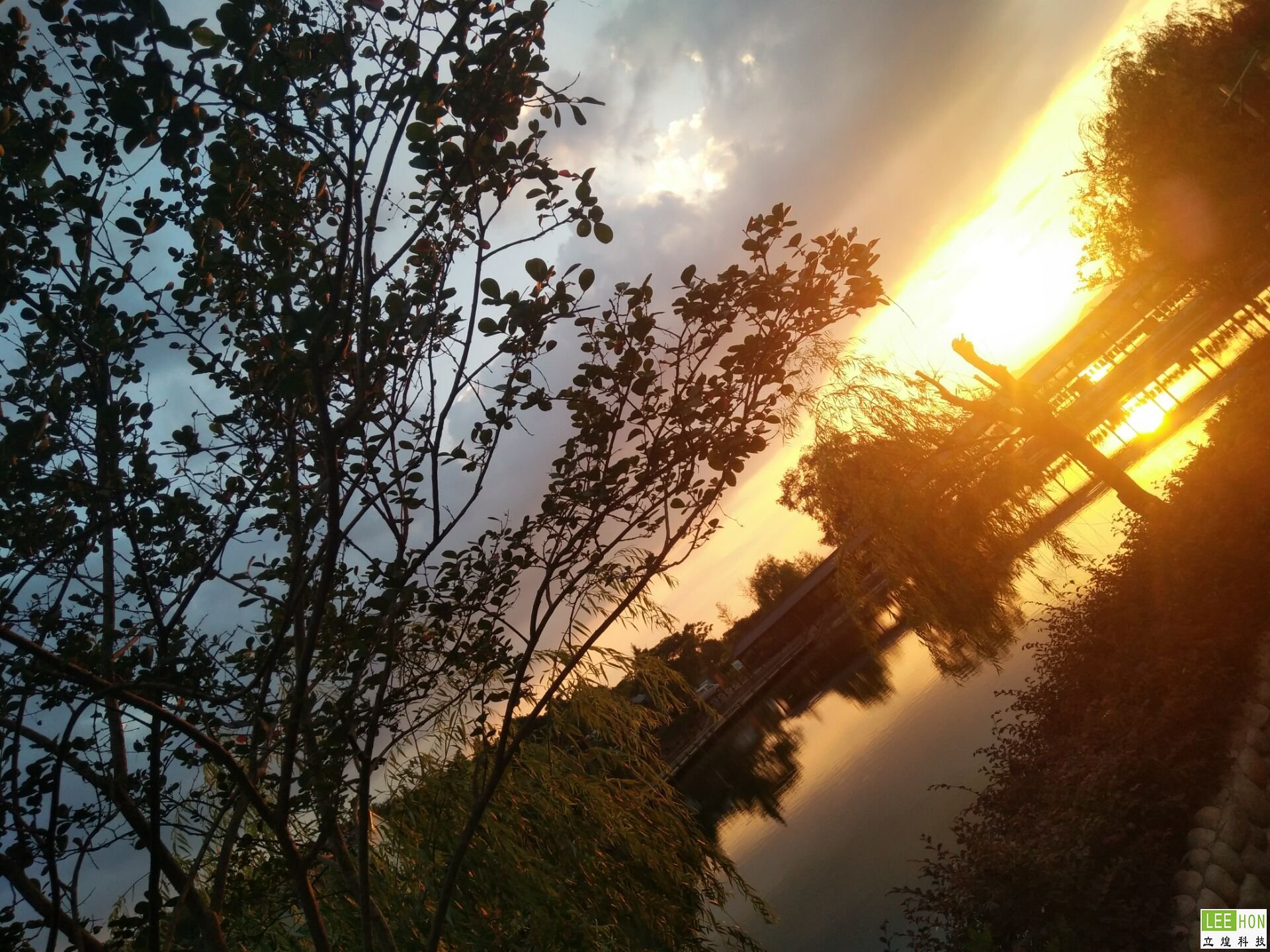 Ϧ������